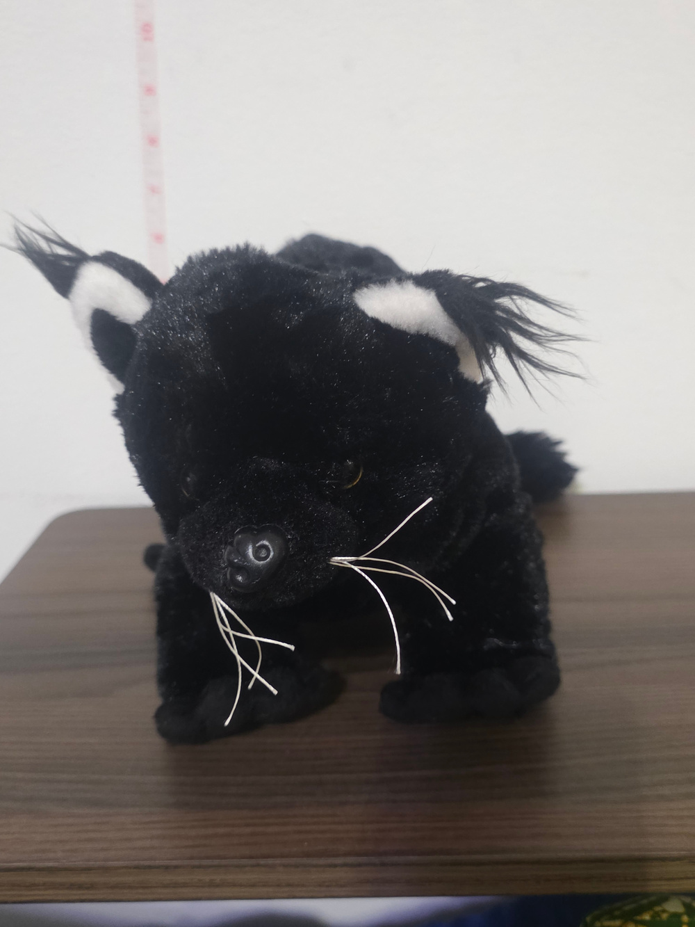rare wishpets "Bintu" Binturong (Asian Bearcat) Plush Stuffed Animal